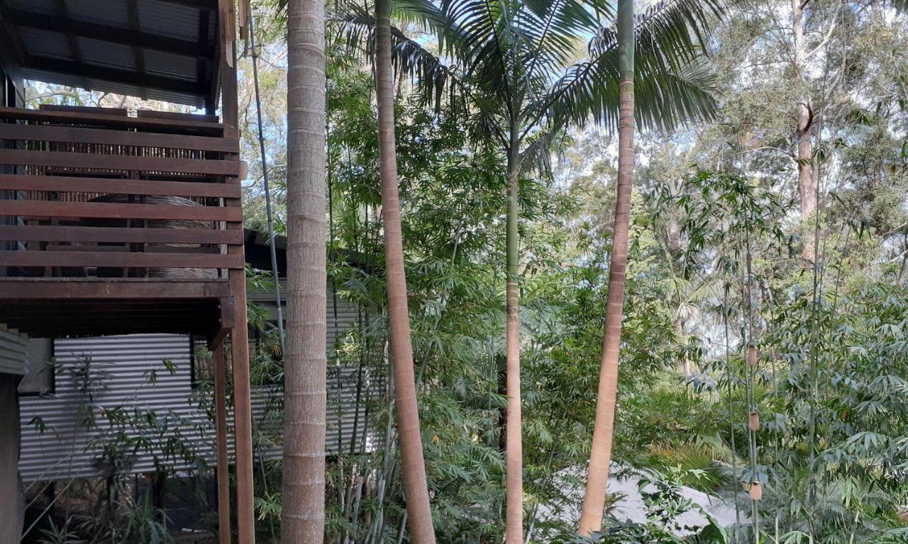 Alaya Escape Bed & Breakfast Eudlo Екстериор снимка