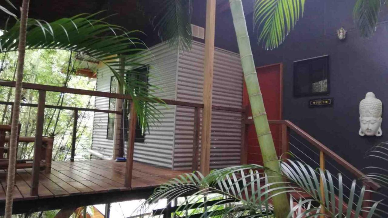 Alaya Escape Bed & Breakfast Eudlo Екстериор снимка