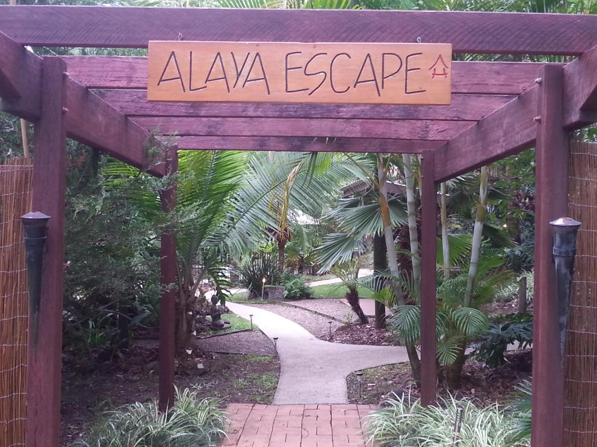 Alaya Escape Bed & Breakfast Eudlo Екстериор снимка