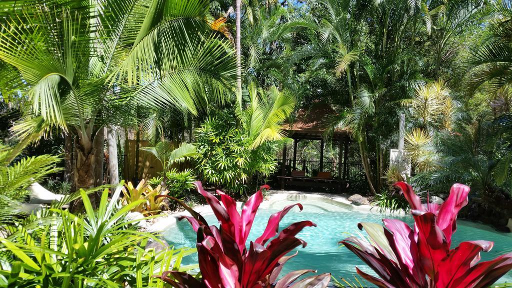 Alaya Escape Bed & Breakfast Eudlo Екстериор снимка